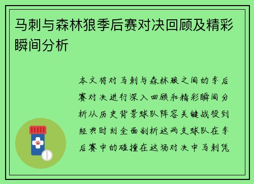 马刺与森林狼季后赛对决回顾及精彩瞬间分析